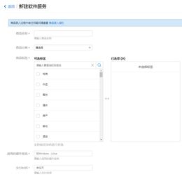 軟件服務(wù)與軟件開發(fā) 創(chuàng)新驅(qū)動下的雙核引擎