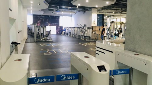 從熱愛到圓夢 我的服務(wù)設(shè)計之旅與米蘭理工大學(xué)PSSD申請記